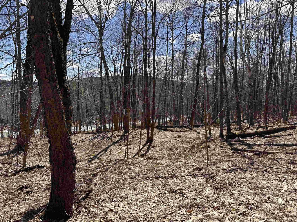 0 East Hill Road Andover VT 05143