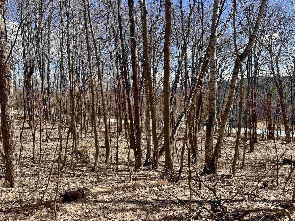 0 East Hill Road Andover VT 05143