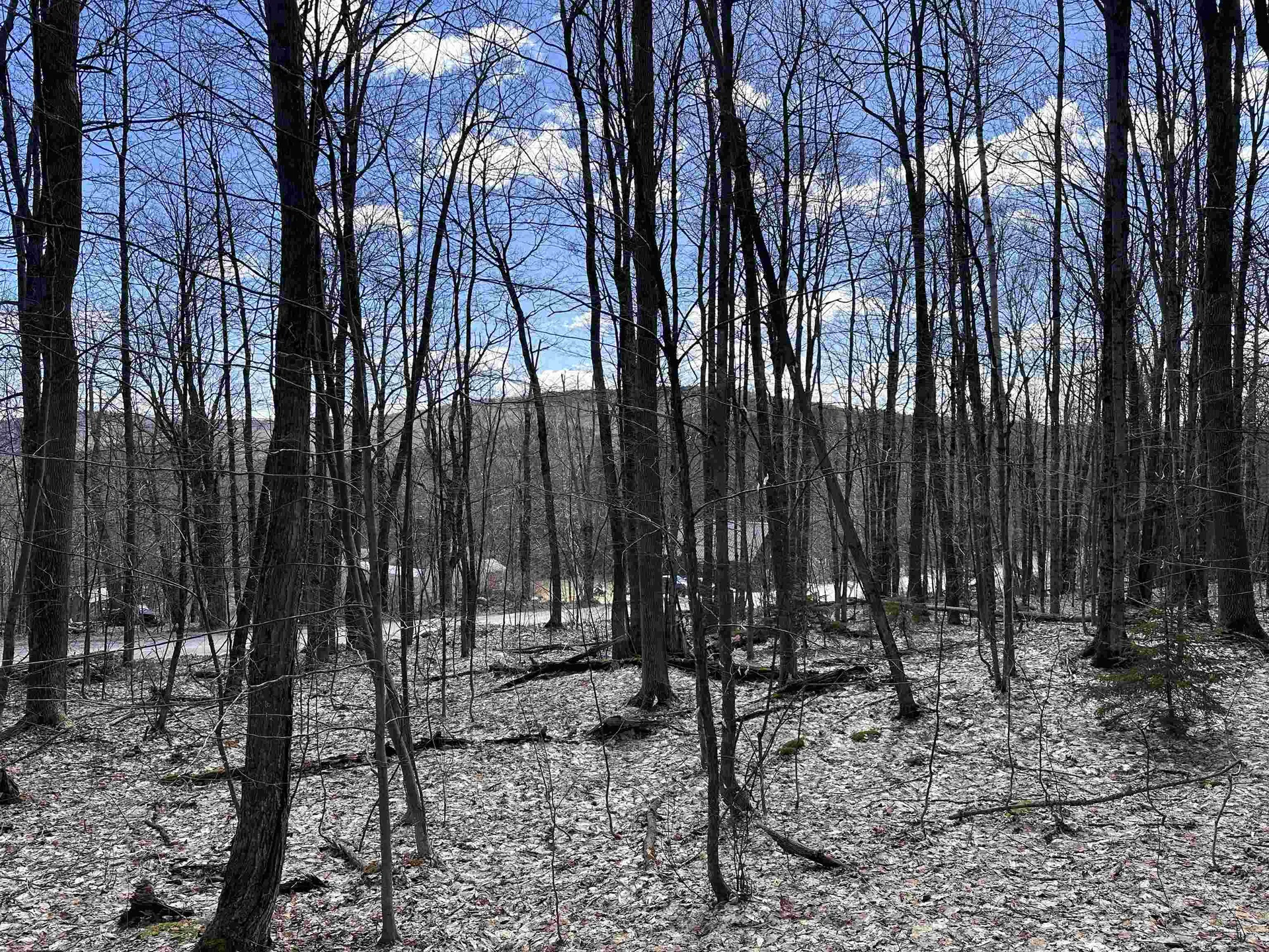 0 East Hill Road Andover VT 05143