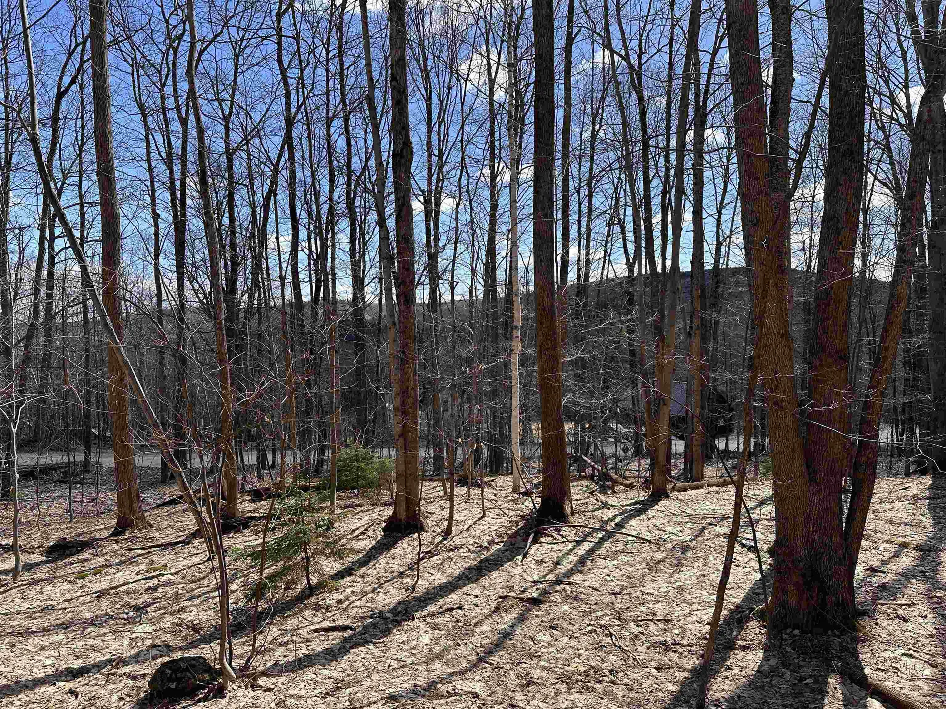 0 East Hill Road Andover VT 05143