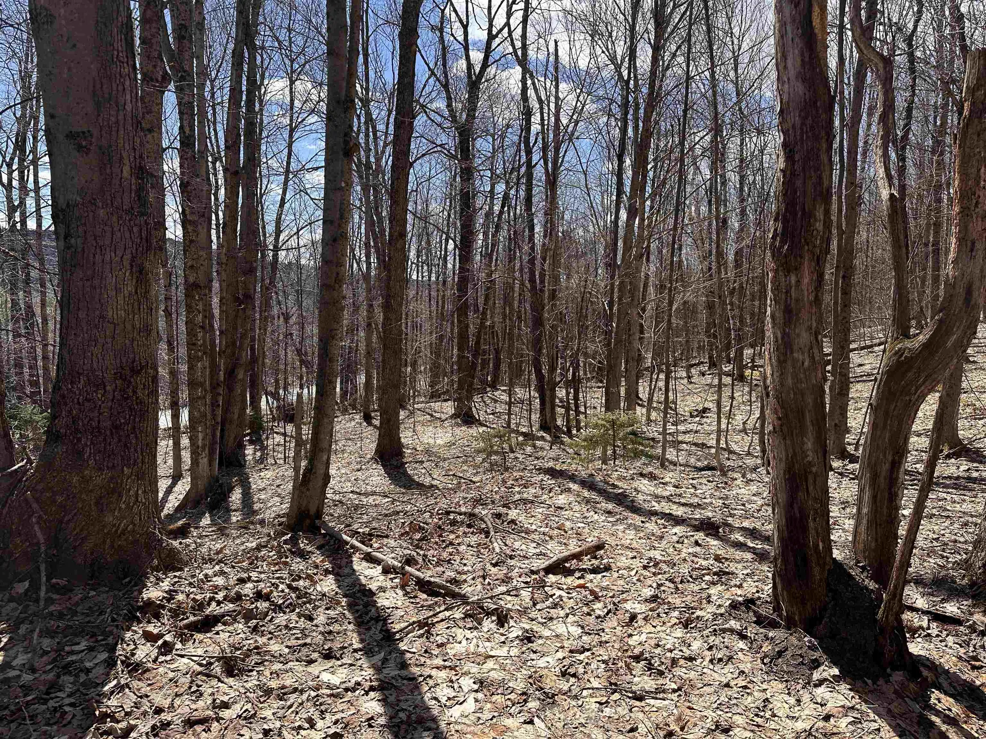 0 East Hill Road Andover VT 05143