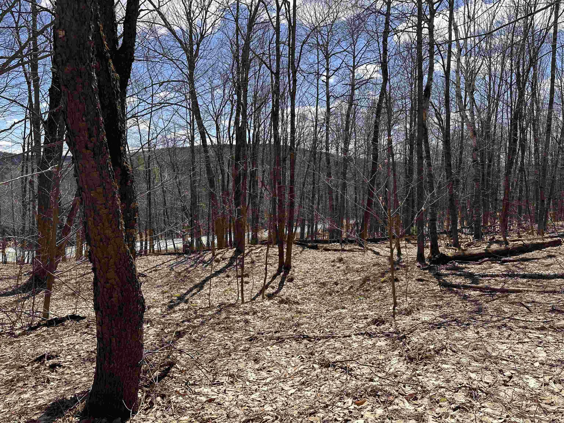 0 East Hill Road Andover VT 05143