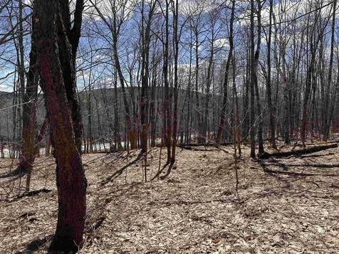 0 East Hill Road Andover VT 05143