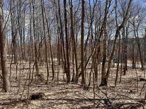 0 East Hill Road Andover VT 05143