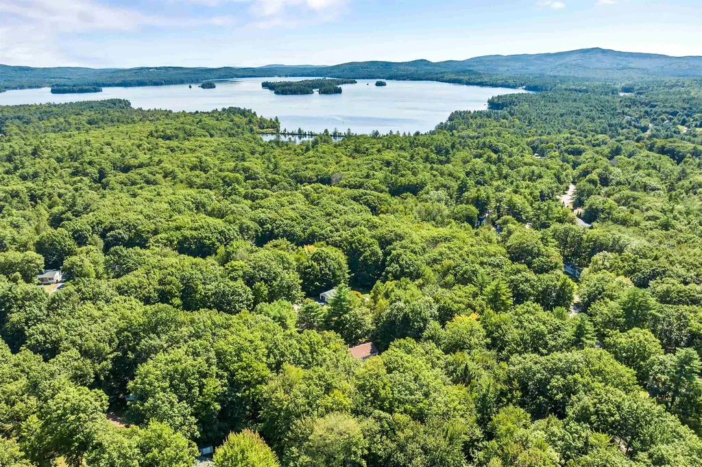14 Moultrie Drive Wolfeboro NH 03894