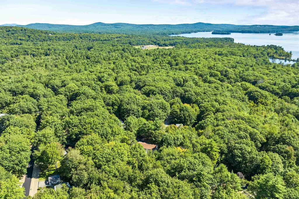 14 Moultrie Drive Wolfeboro NH 03894