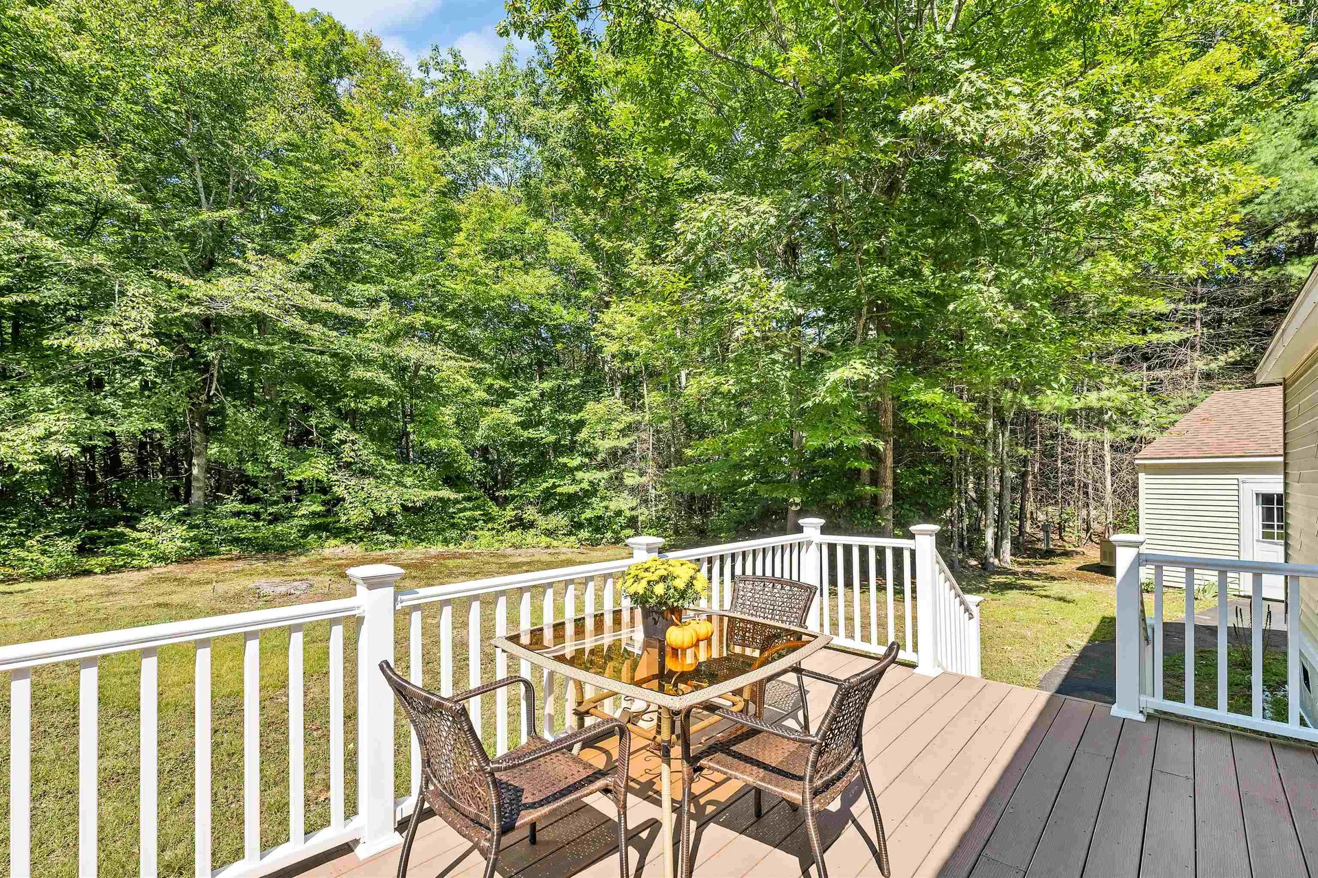 14 Moultrie Drive Wolfeboro NH 03894
