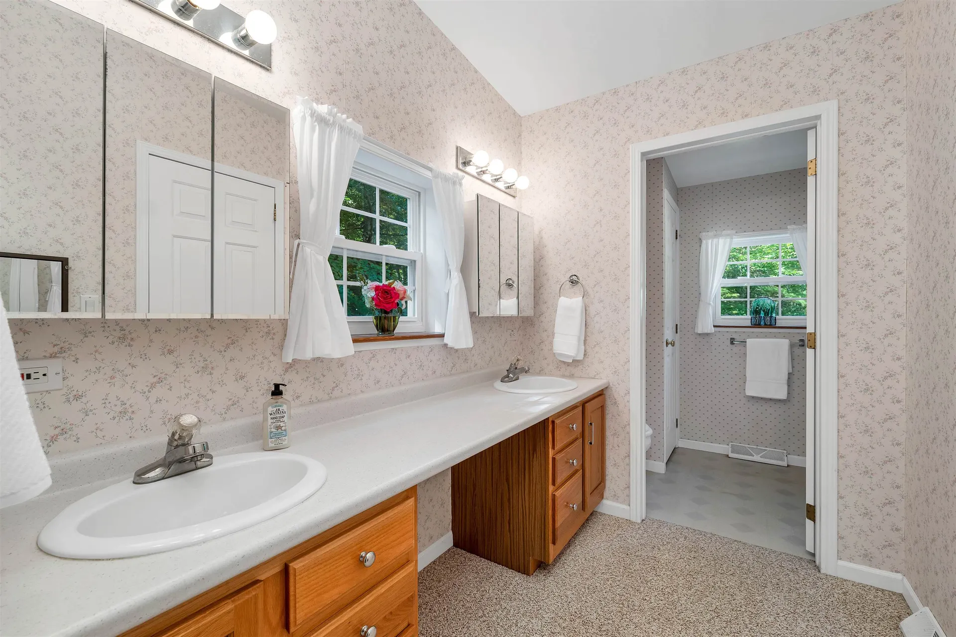 14 Moultrie Drive Wolfeboro NH 03894