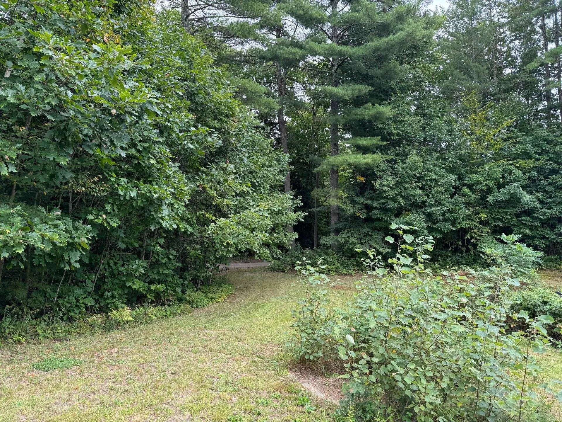 33 Green Mountain Turnpike Rockingham VT 05101