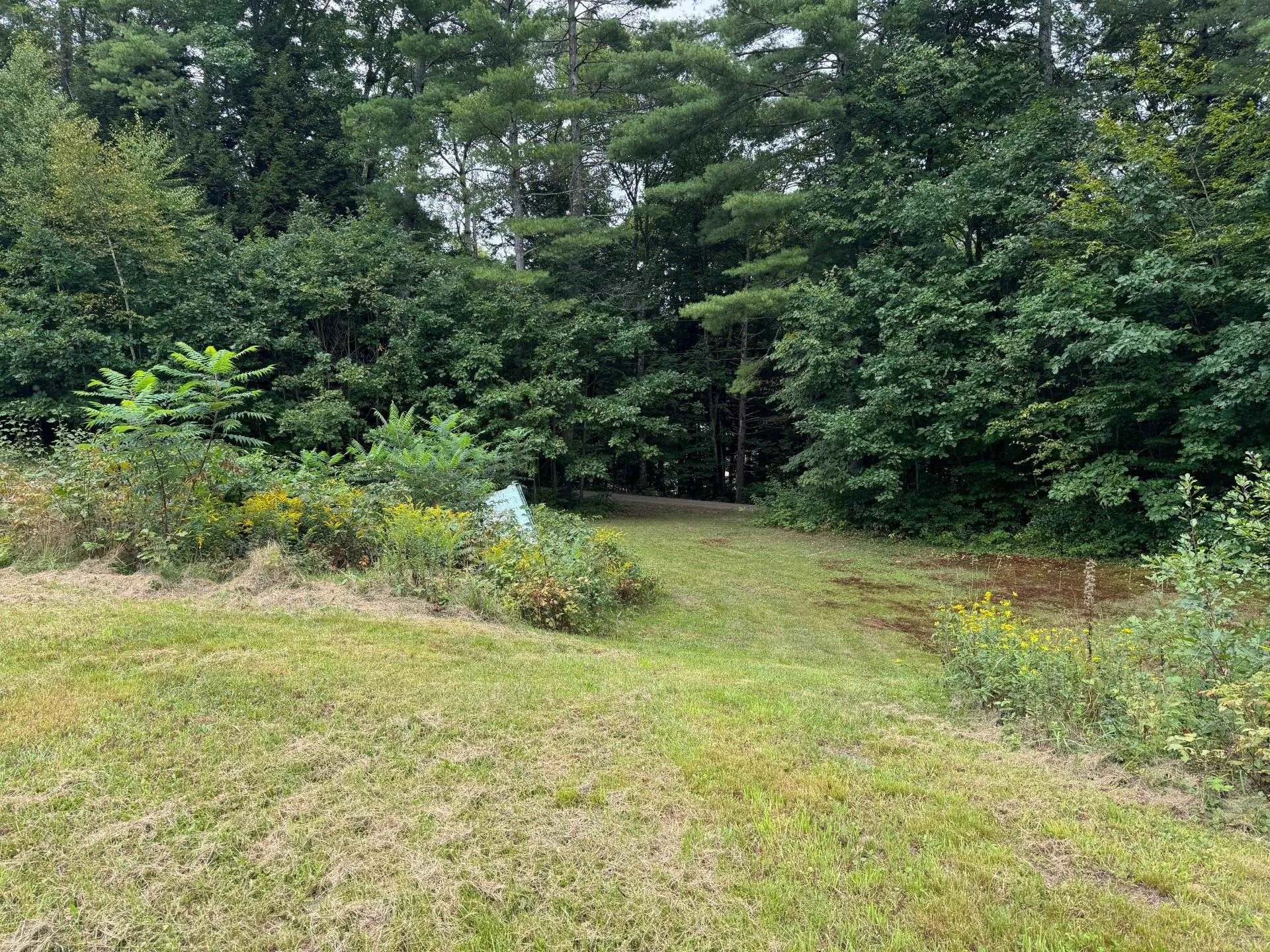 33 Green Mountain Turnpike Rockingham VT 05101