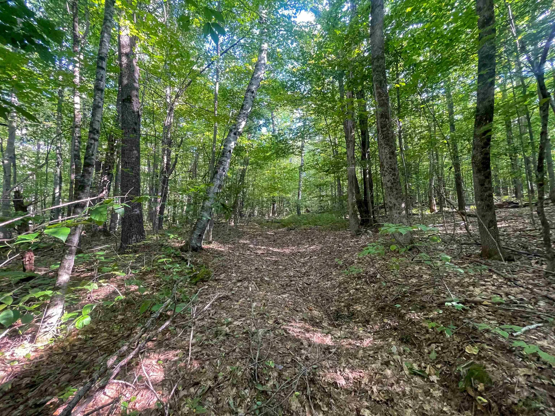0 Old Settlers Road Alstead NH 03602