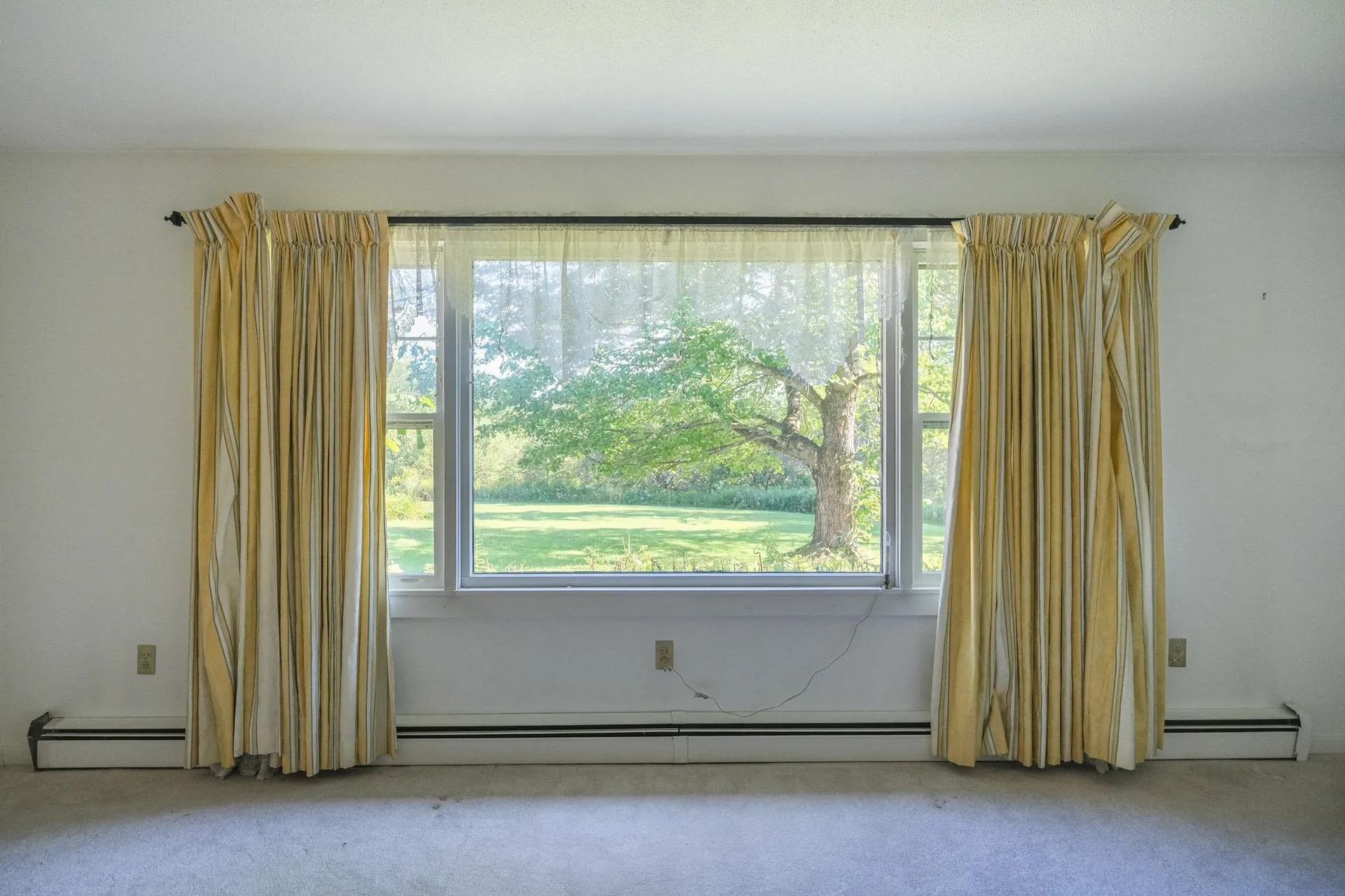 399 Crown Point Road Shrewsbury VT 05138