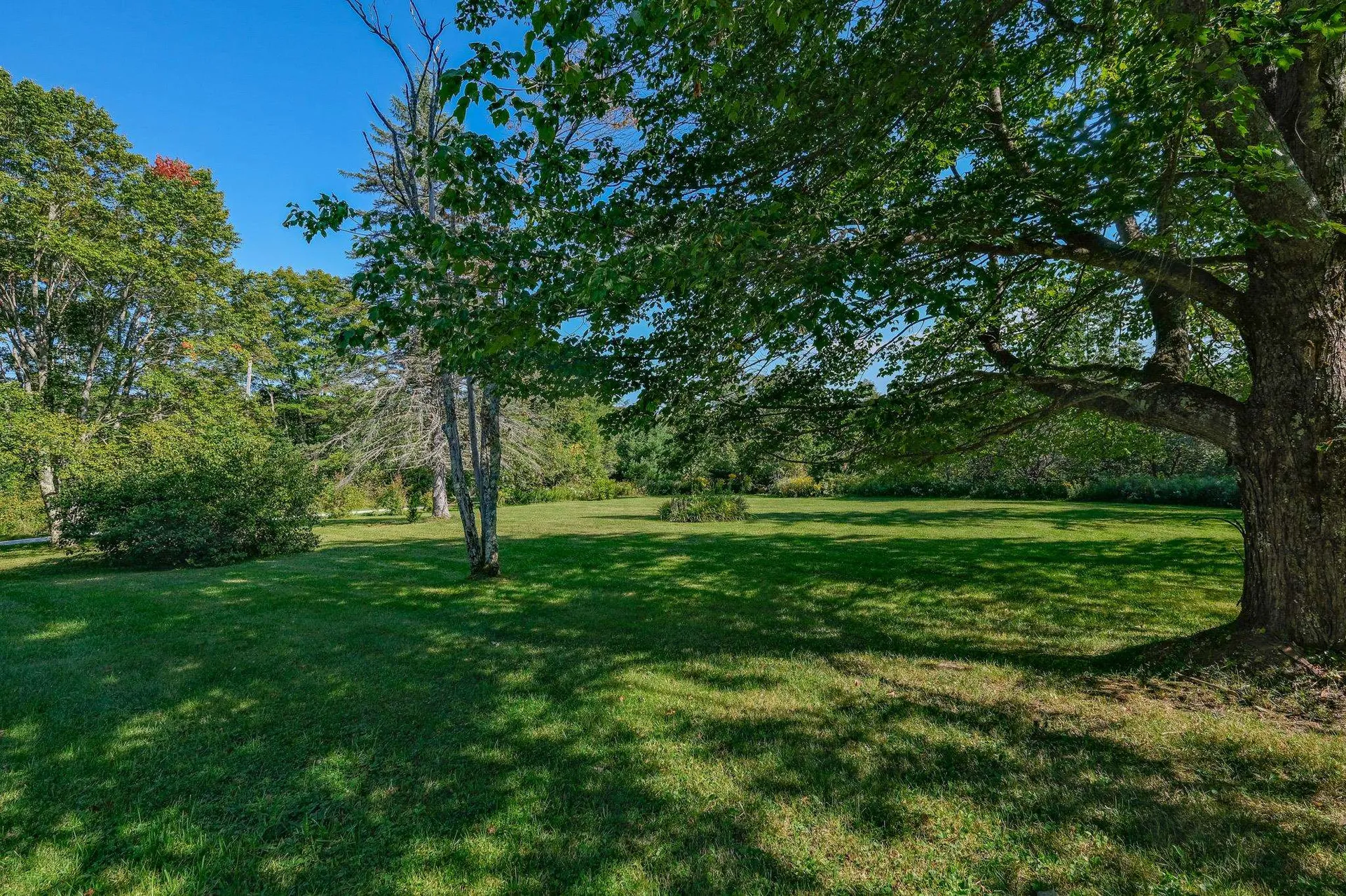 399 Crown Point Road Shrewsbury VT 05138