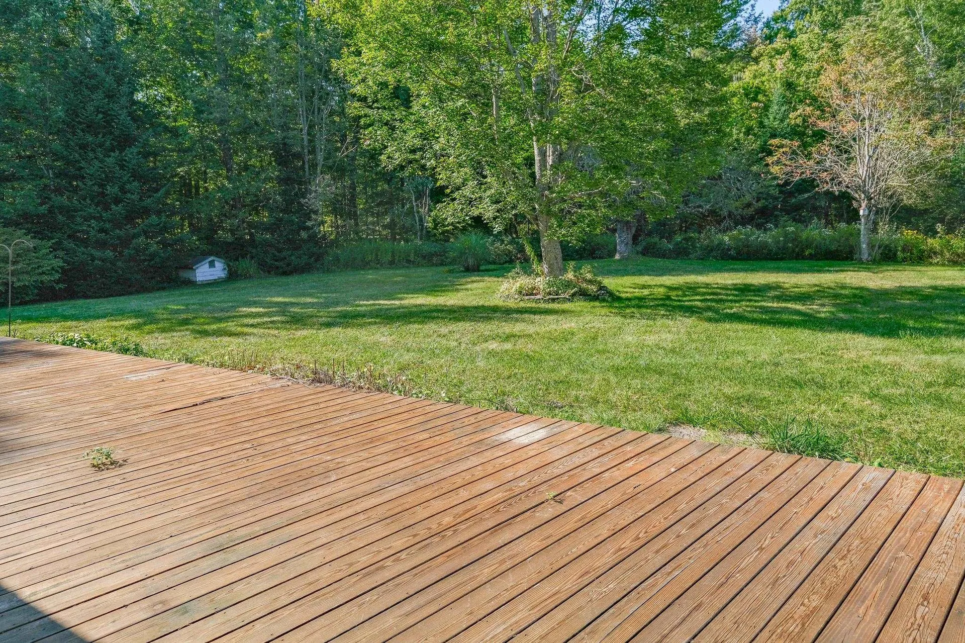 399 Crown Point Road Shrewsbury VT 05138