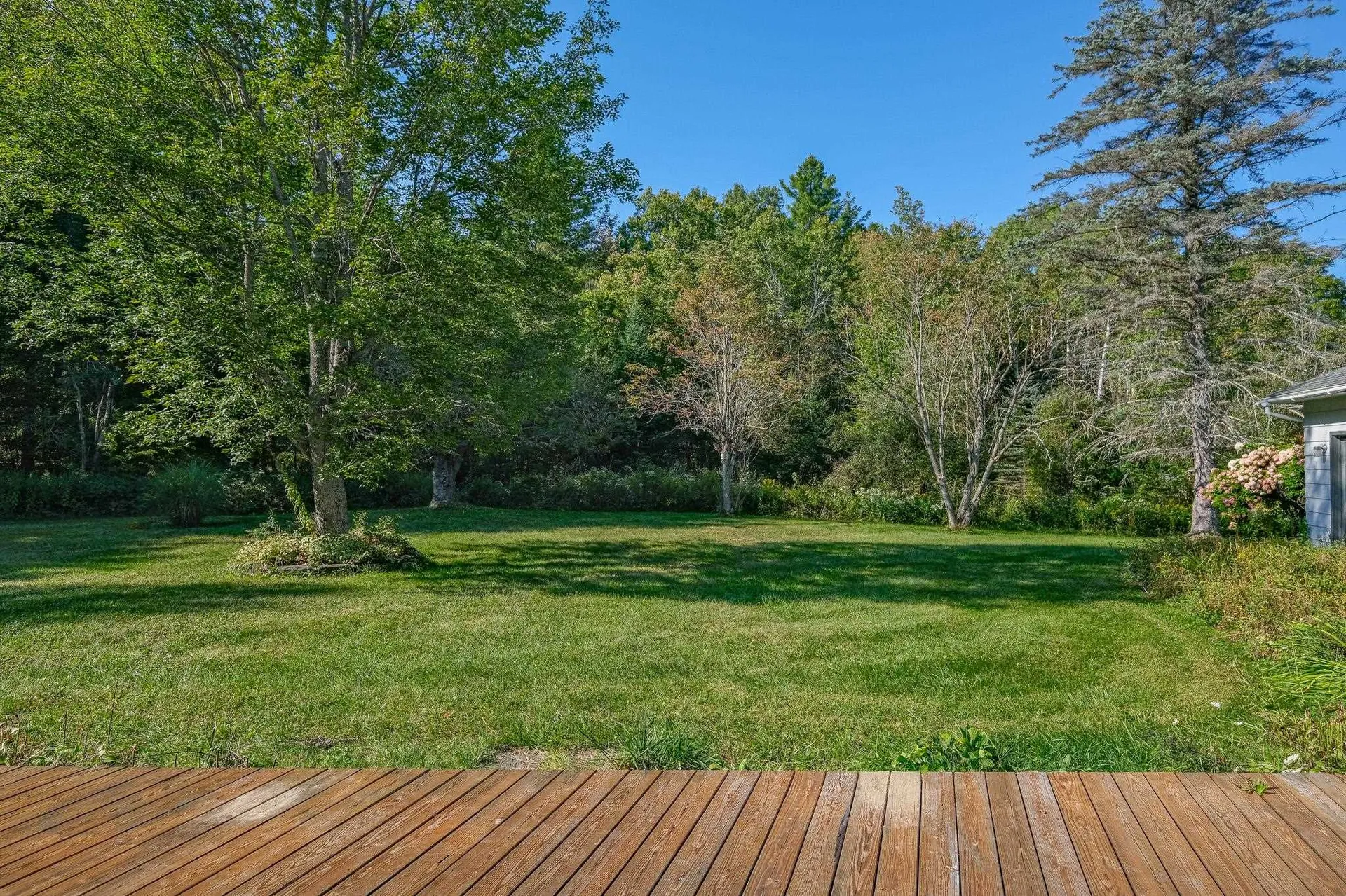 399 Crown Point Road Shrewsbury VT 05138