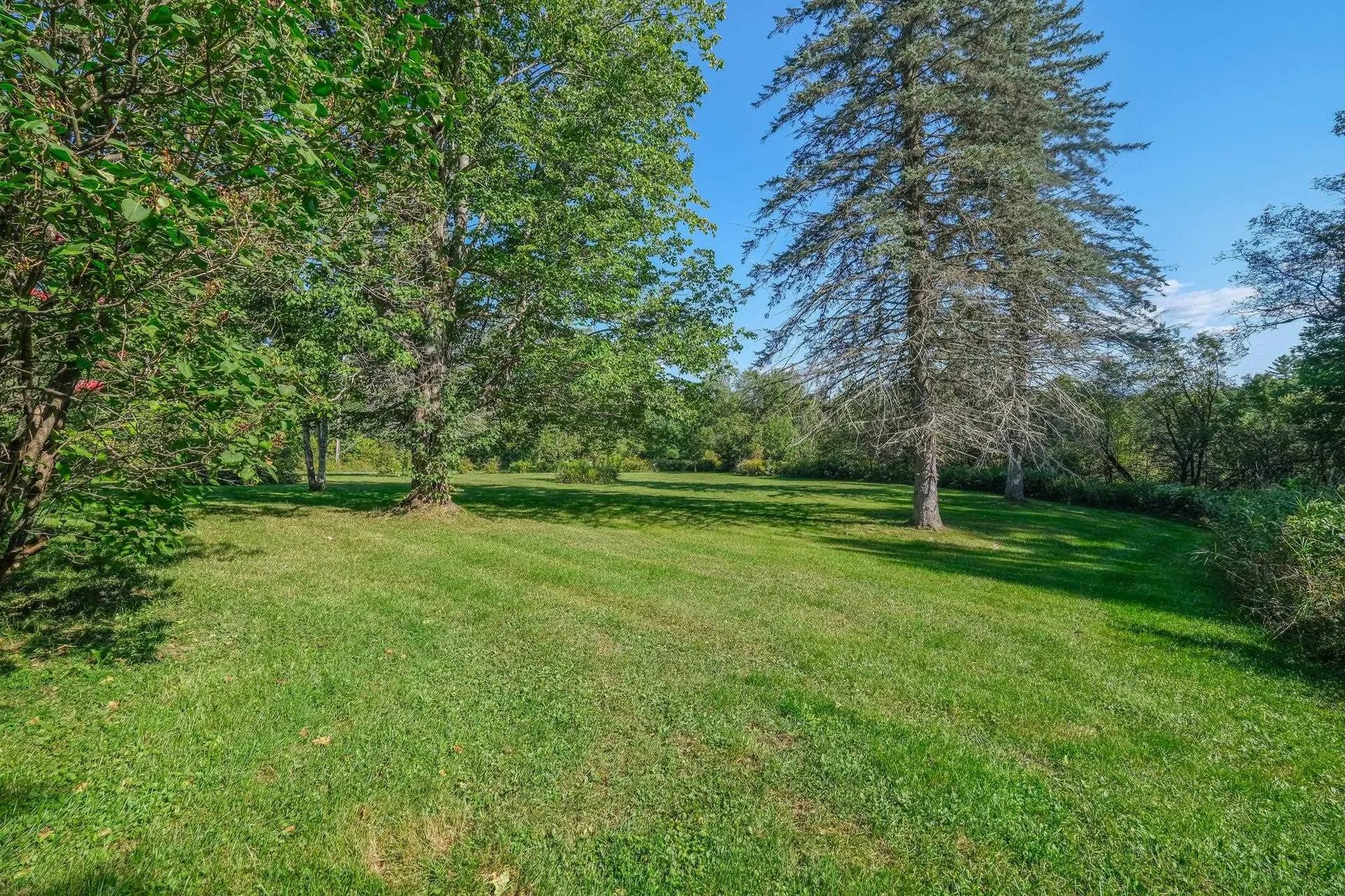 399 Crown Point Road Shrewsbury VT 05138