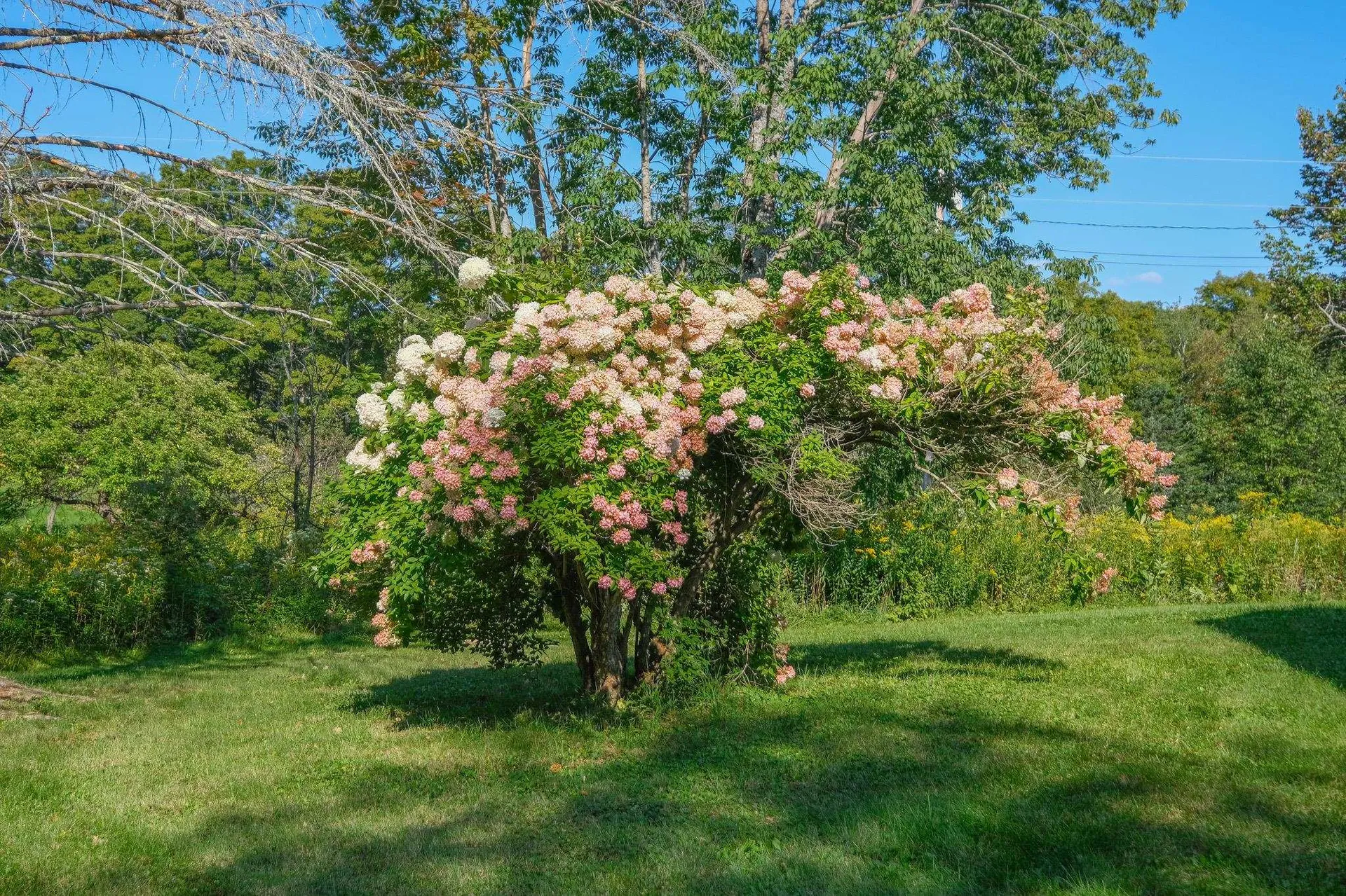 399 Crown Point Road Shrewsbury VT 05138