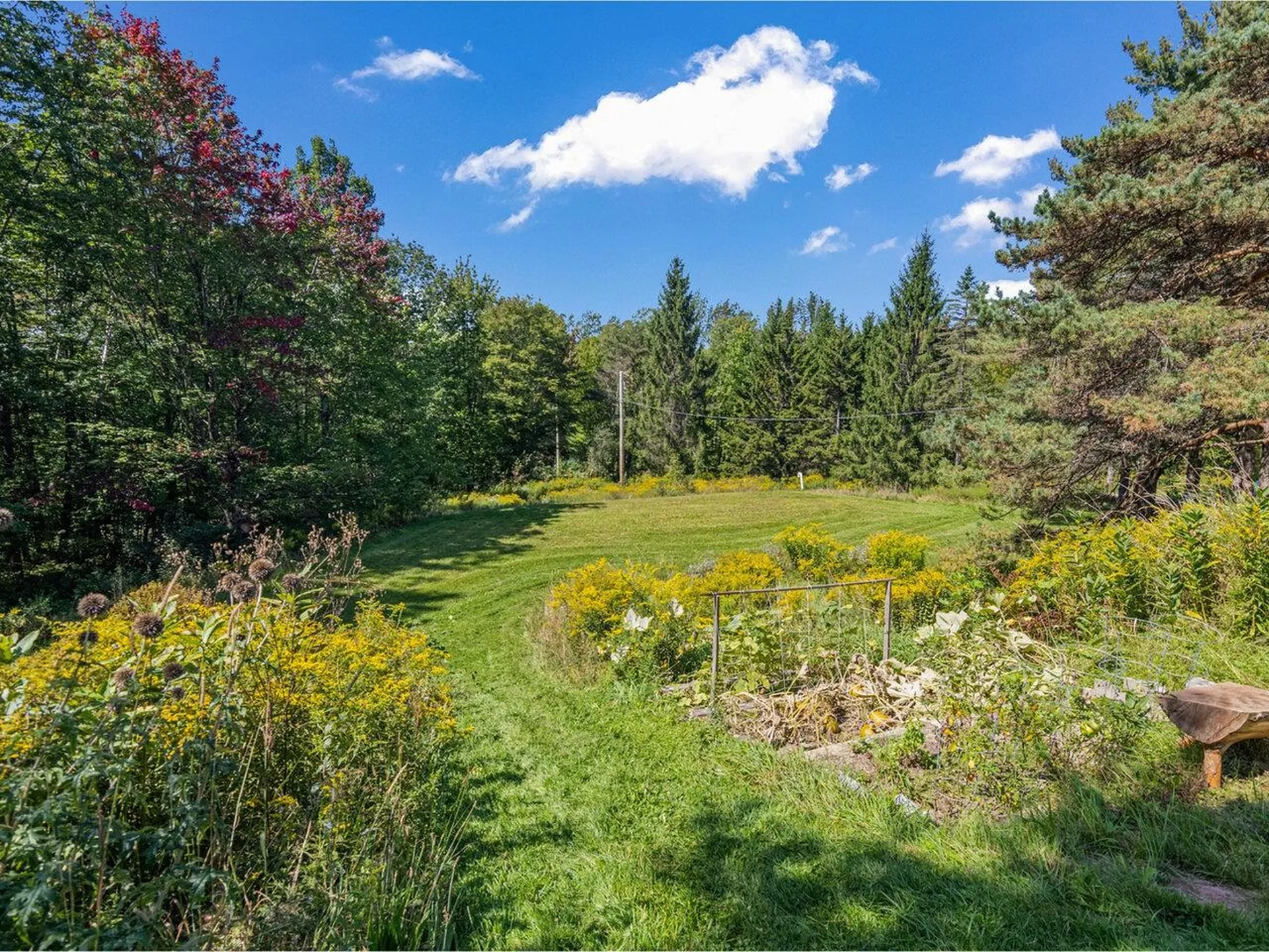 3237 Ripton Road Lincoln VT 05443