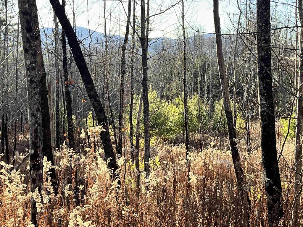 1438 North Branch Road Ripton VT 05766