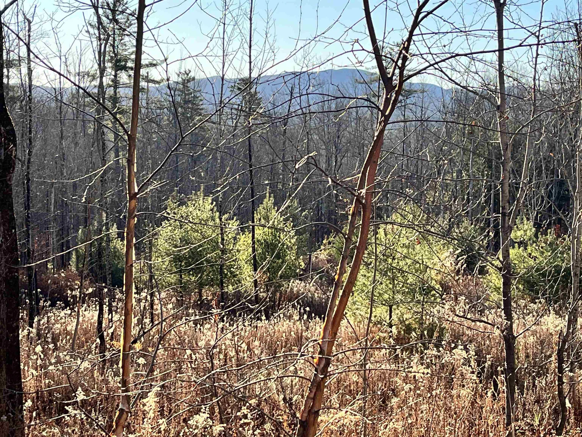 1438 North Branch Road Ripton VT 05766