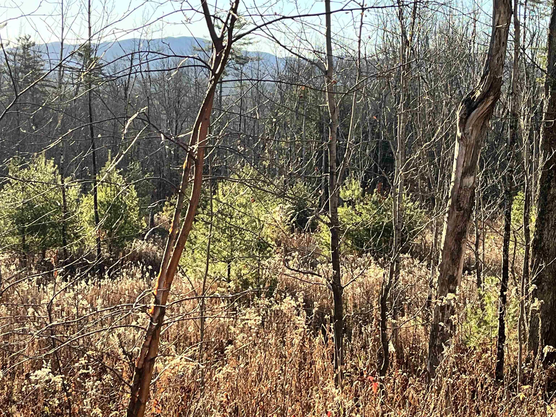 1438 North Branch Road Ripton VT 05766