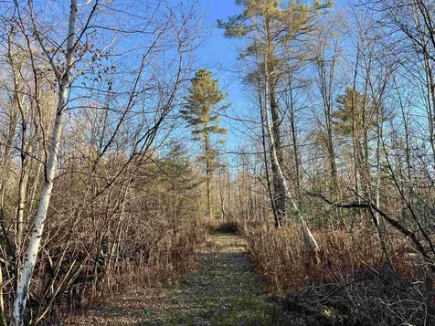 1438 North Branch Road Ripton VT 05766