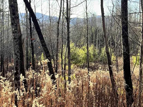 1438 North Branch Road Ripton VT 05766