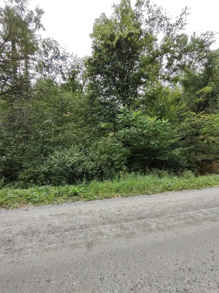 238 Stevens Road Thetford VT 05043