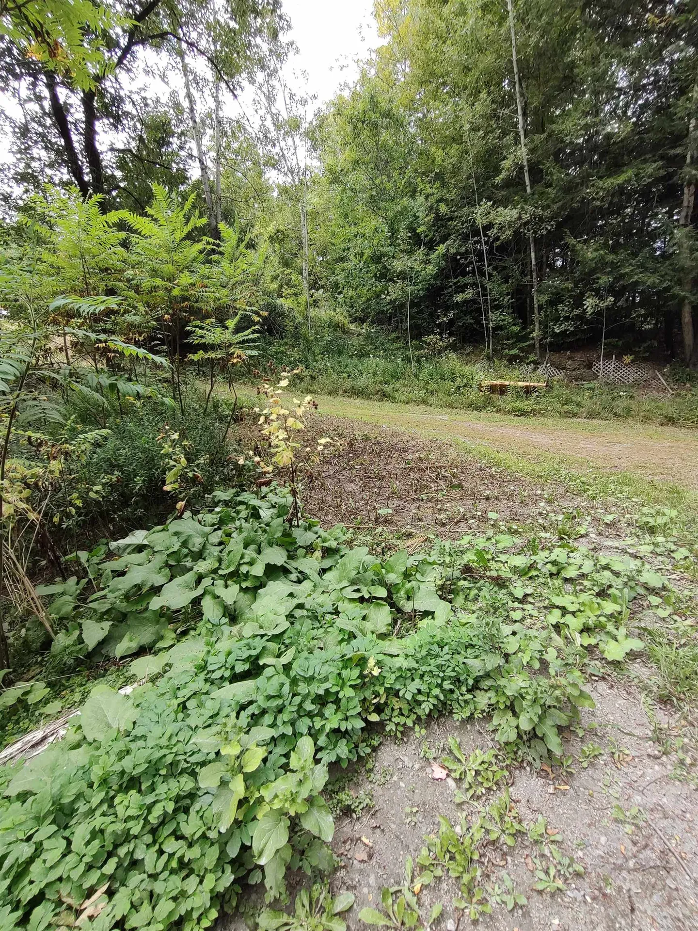 238 Stevens Road Thetford VT 05043