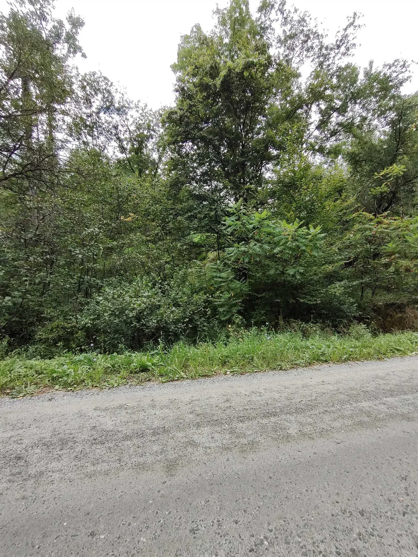 238 Stevens Road Thetford VT 05043