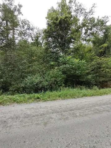 238 Stevens Road Thetford VT 05043