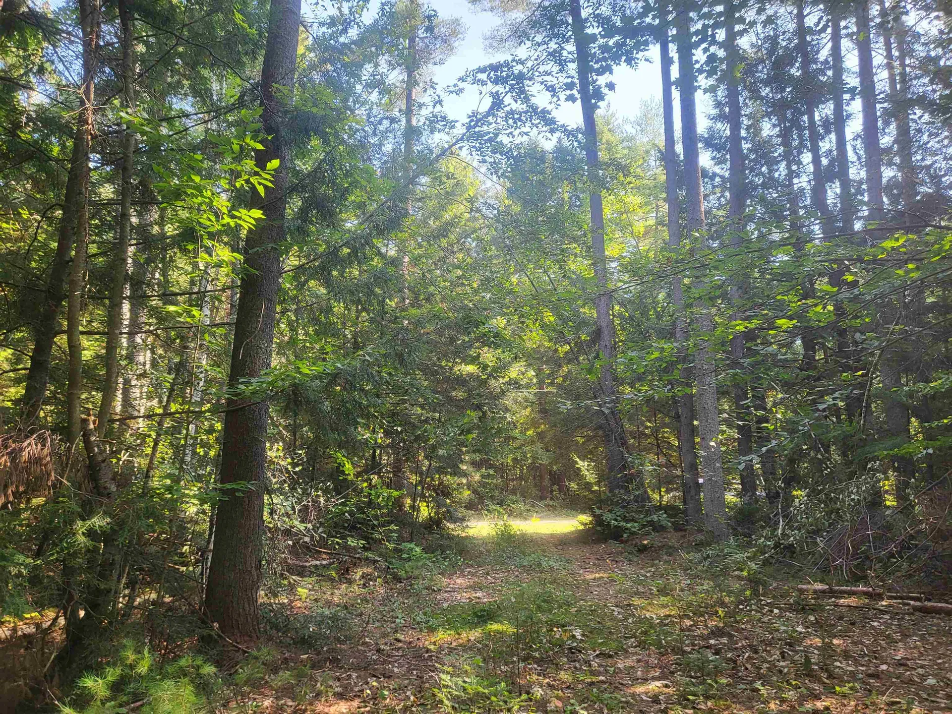 45 Morris Avenue Effingham NH 03882