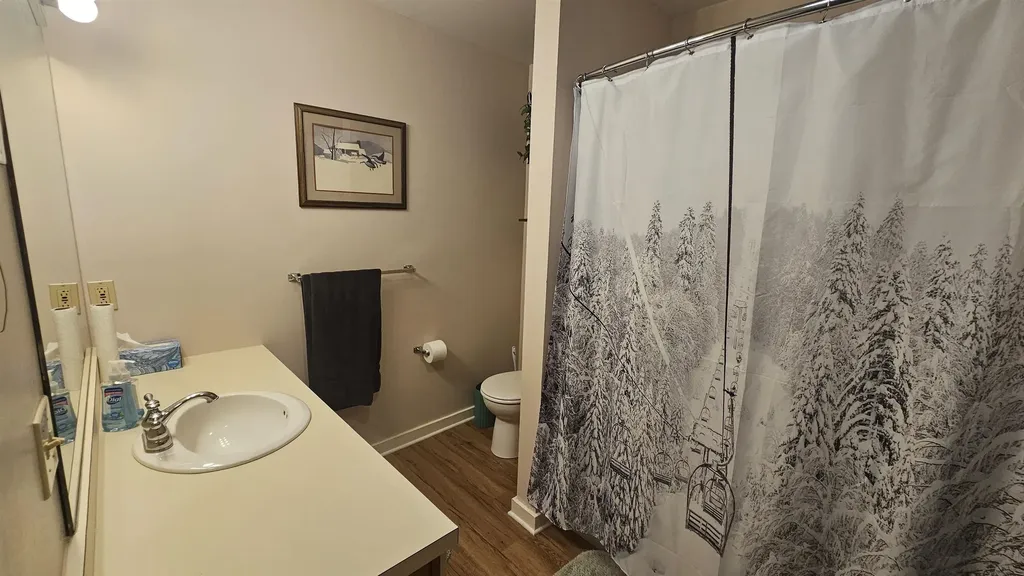 113 Trailside Condos Londonderry VT 05148