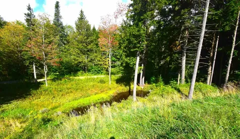 70 Sun And Ski Road Wilmington VT 05363