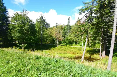 70 Sun And Ski Road Wilmington VT 05363