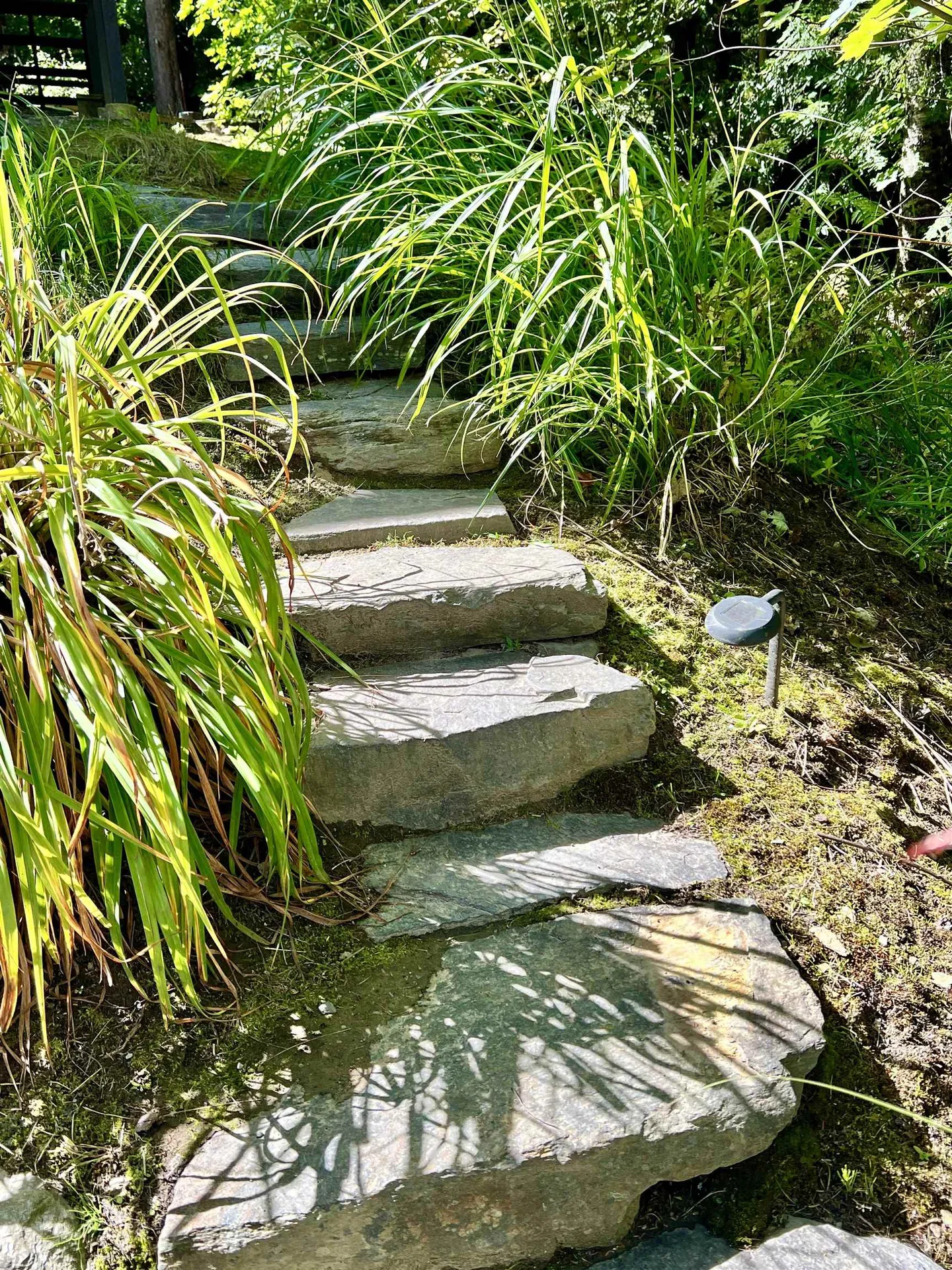 208 Lakeside Drive Haverhill NH 03785