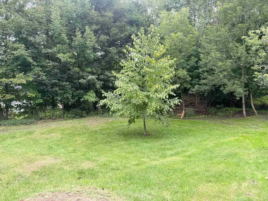 142 Highland Avenue Newport City VT 05855