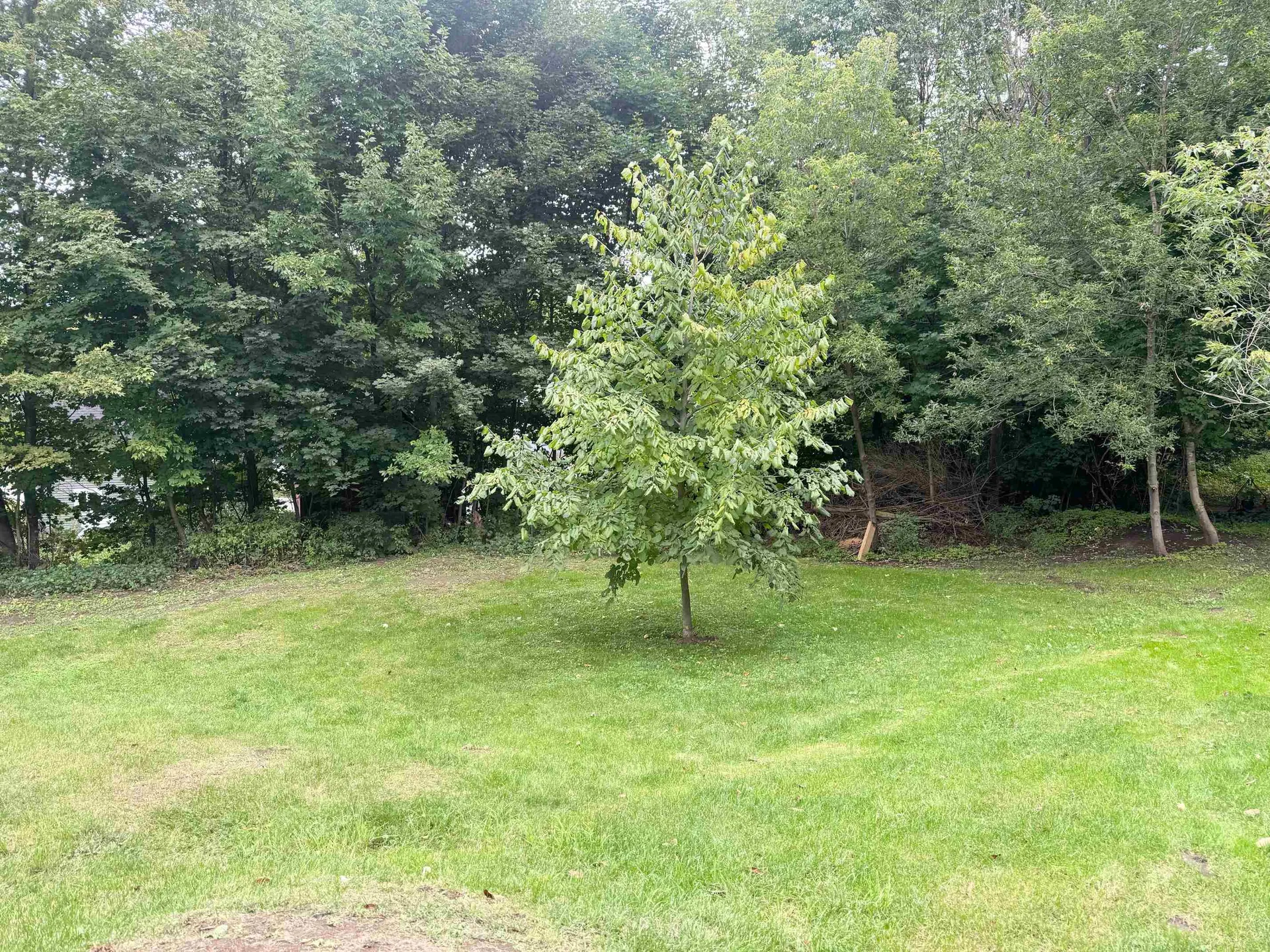 142 Highland Avenue Newport City VT 05855