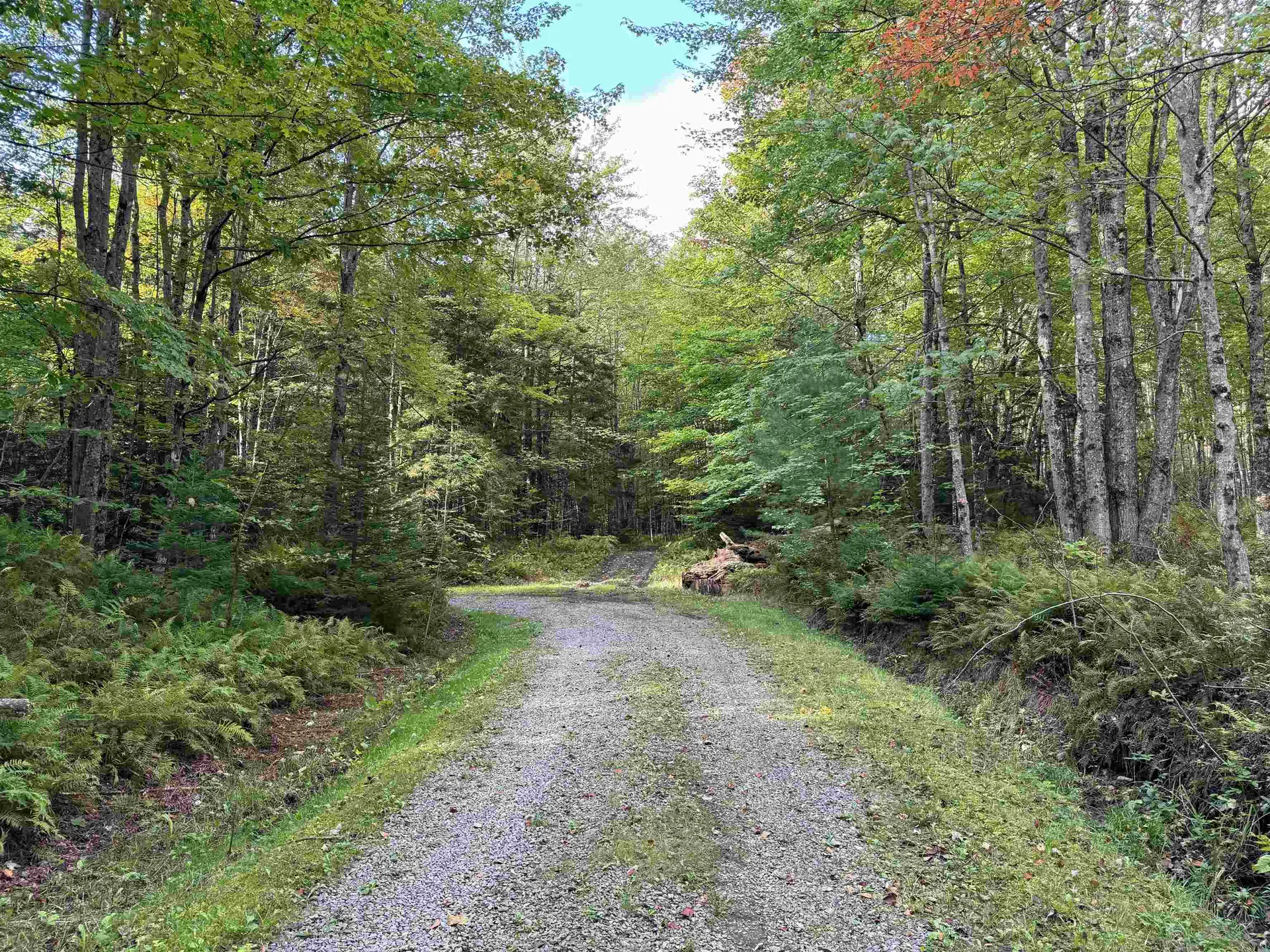 2295 Elmore Pond Road Wolcott VT 05680