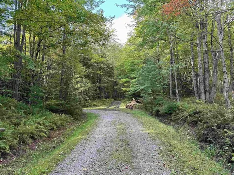 2295 Elmore Pond Road Wolcott VT 05680