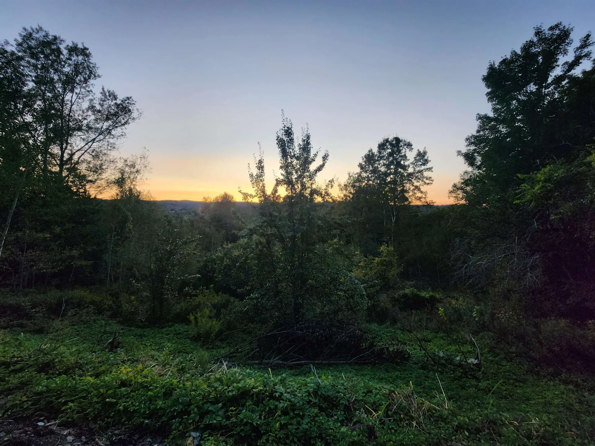 725 Creamery Road Washington VT 05675