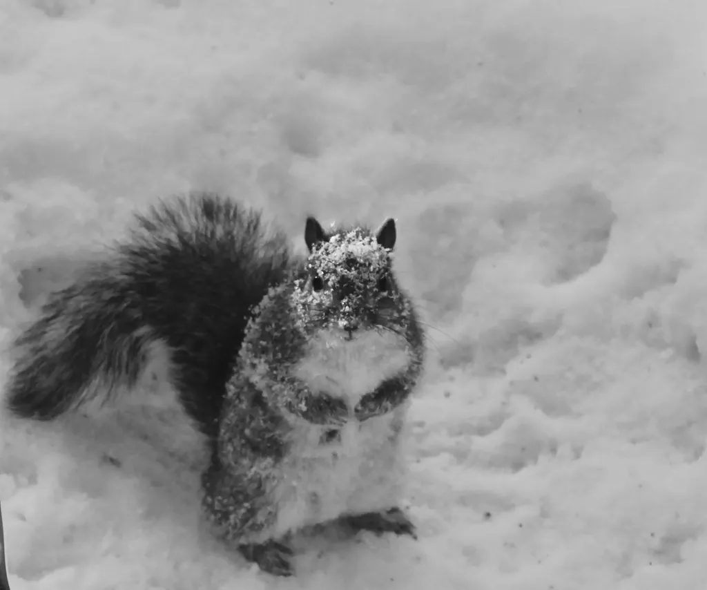 120 Ridgeview Road Warren VT 05674