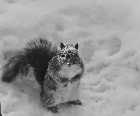 120 Ridgeview Road Warren VT 05674