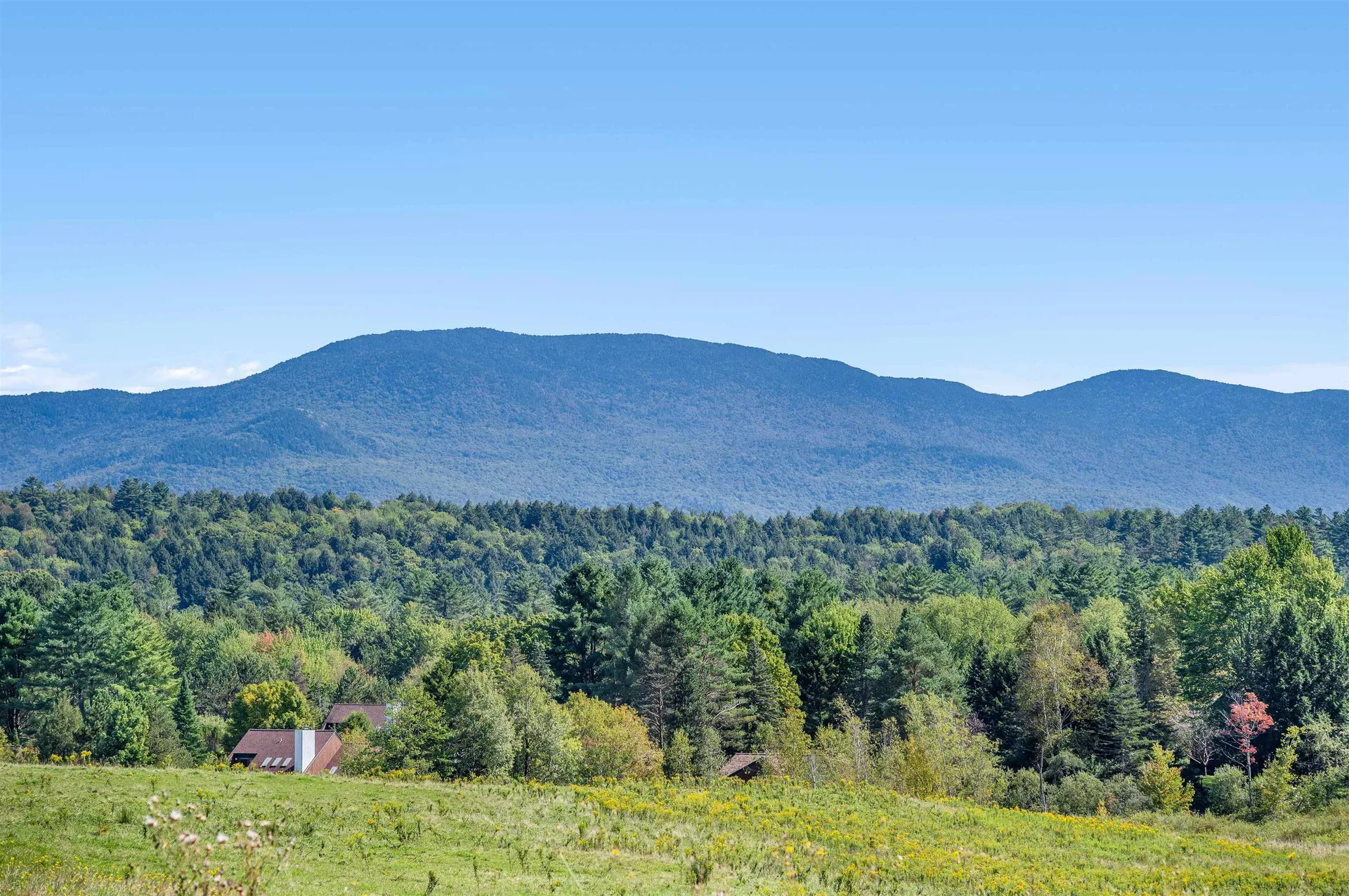 14 Barrows Road Stowe VT 05672