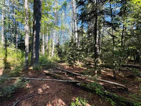 116 Nutting Road Sunapee NH 03782