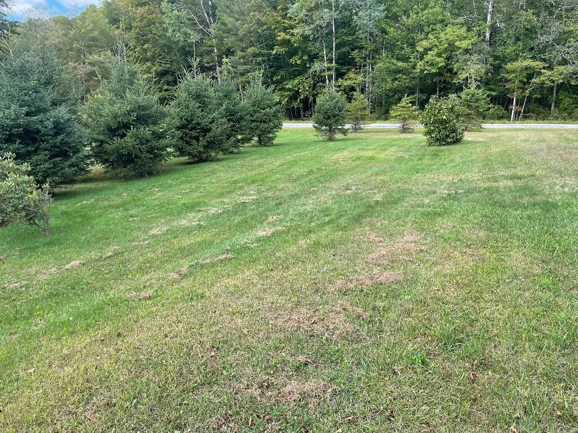 146 Brookside Drive Stamford VT 05352