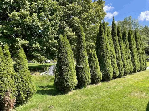 146 Brookside Drive Stamford VT 05352