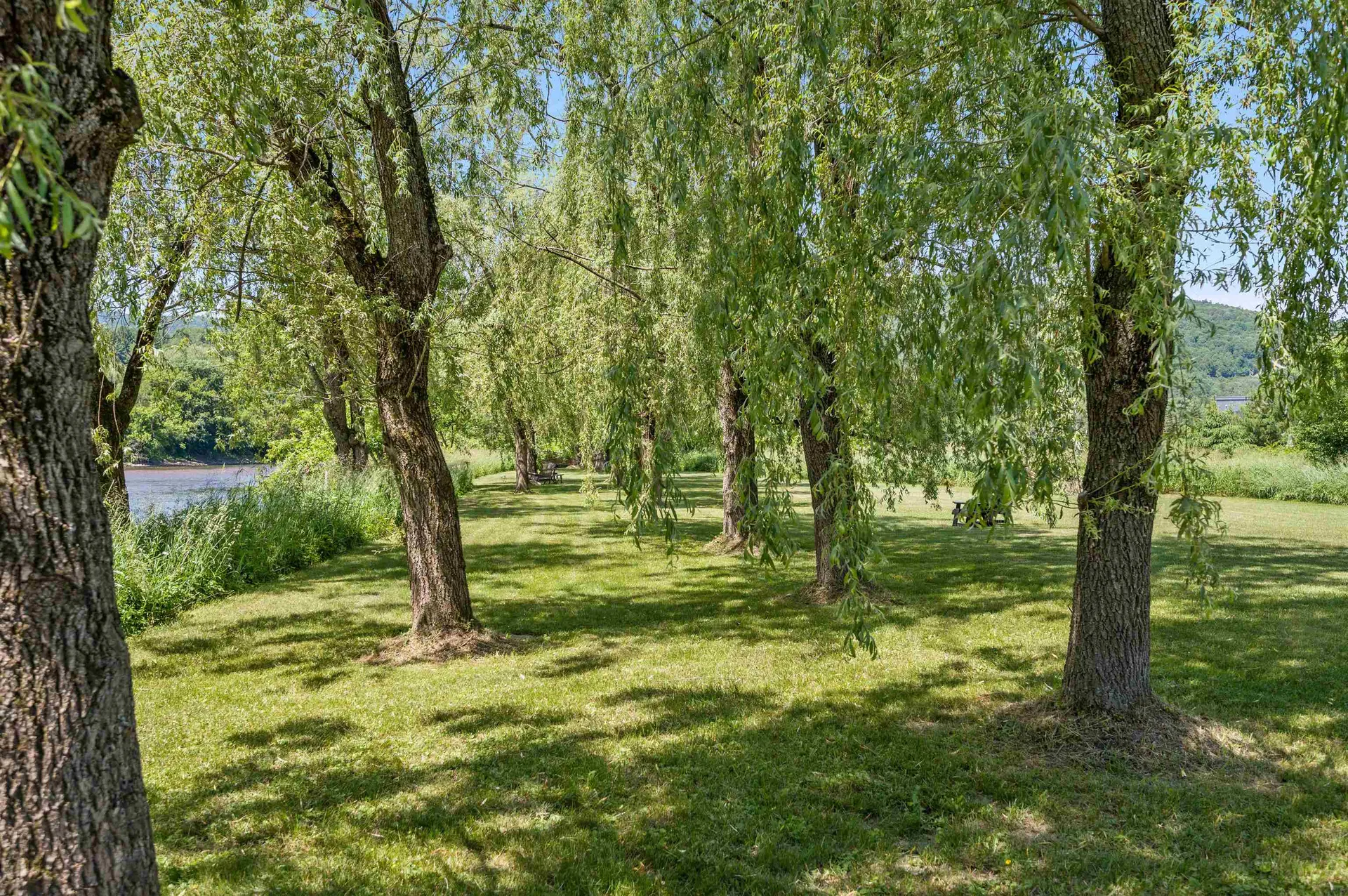 5 Healy Court Waterbury VT 05676