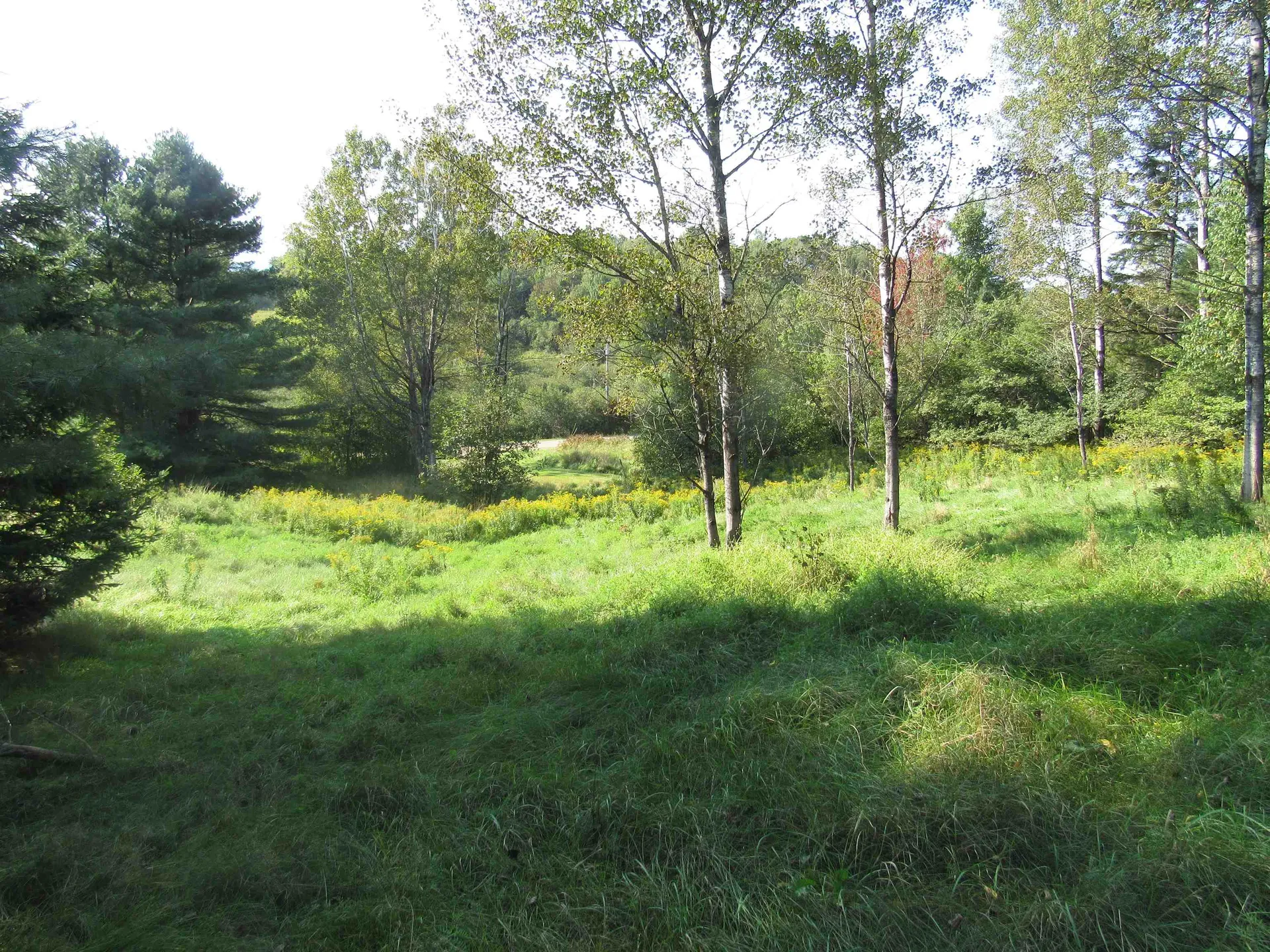 0 River Road Troy VT 05868