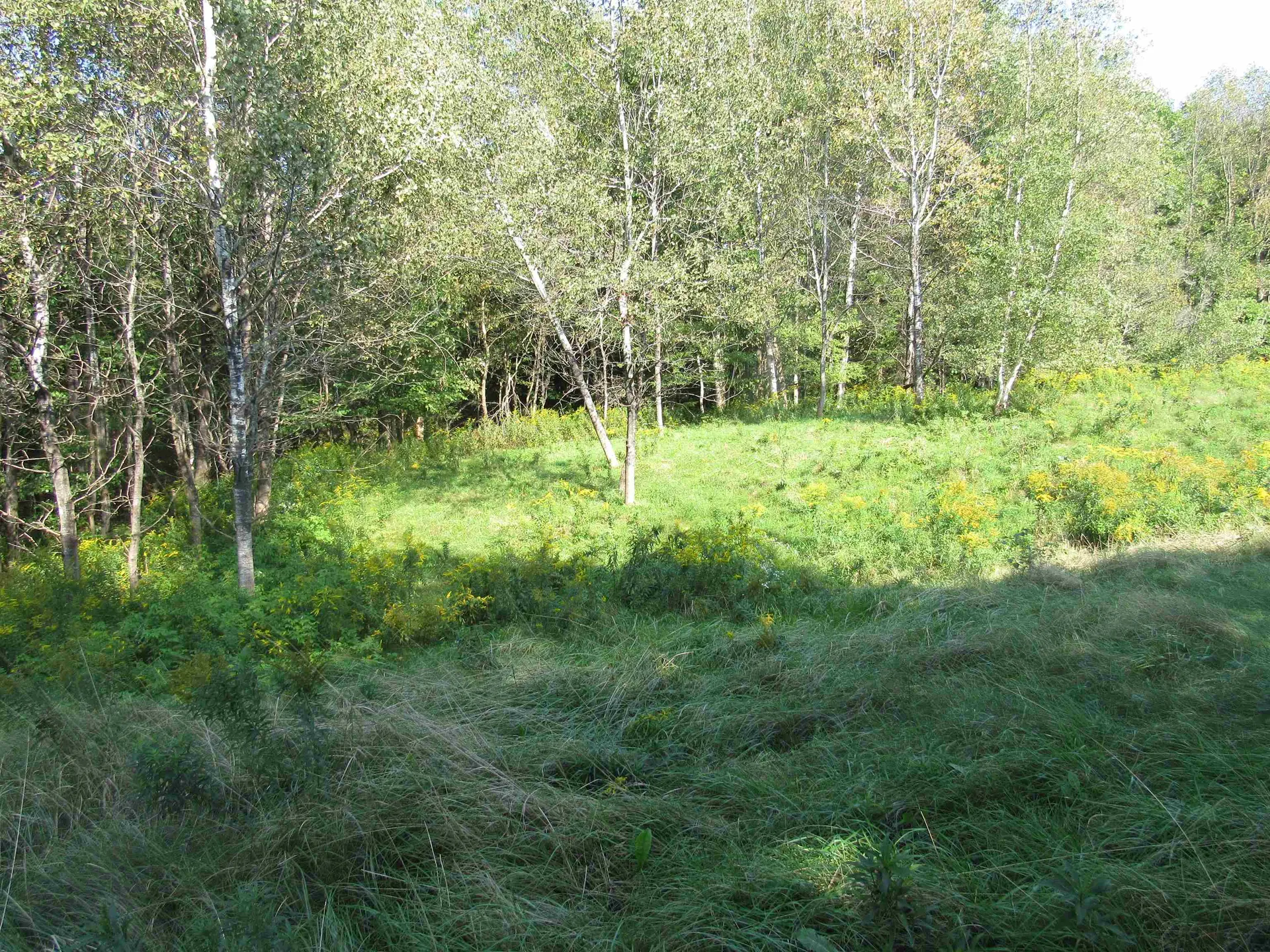 0 River Road Troy VT 05868